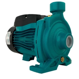 Bomba Centrifuga Mono 2,0 HP 110V ACM150 Lepono