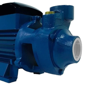 Bomba Periférica BP60 0,5 HP Mono 220V PDR  Lepono