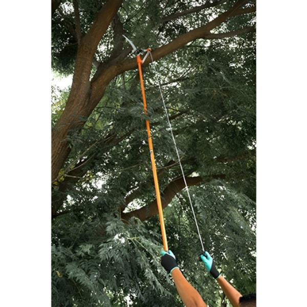 Cabo Extensível até 2,4m para Podador de Galhos Altos 630513 Merax-399eca0b-068c-4df9-b7d3-b3bca5c4f854