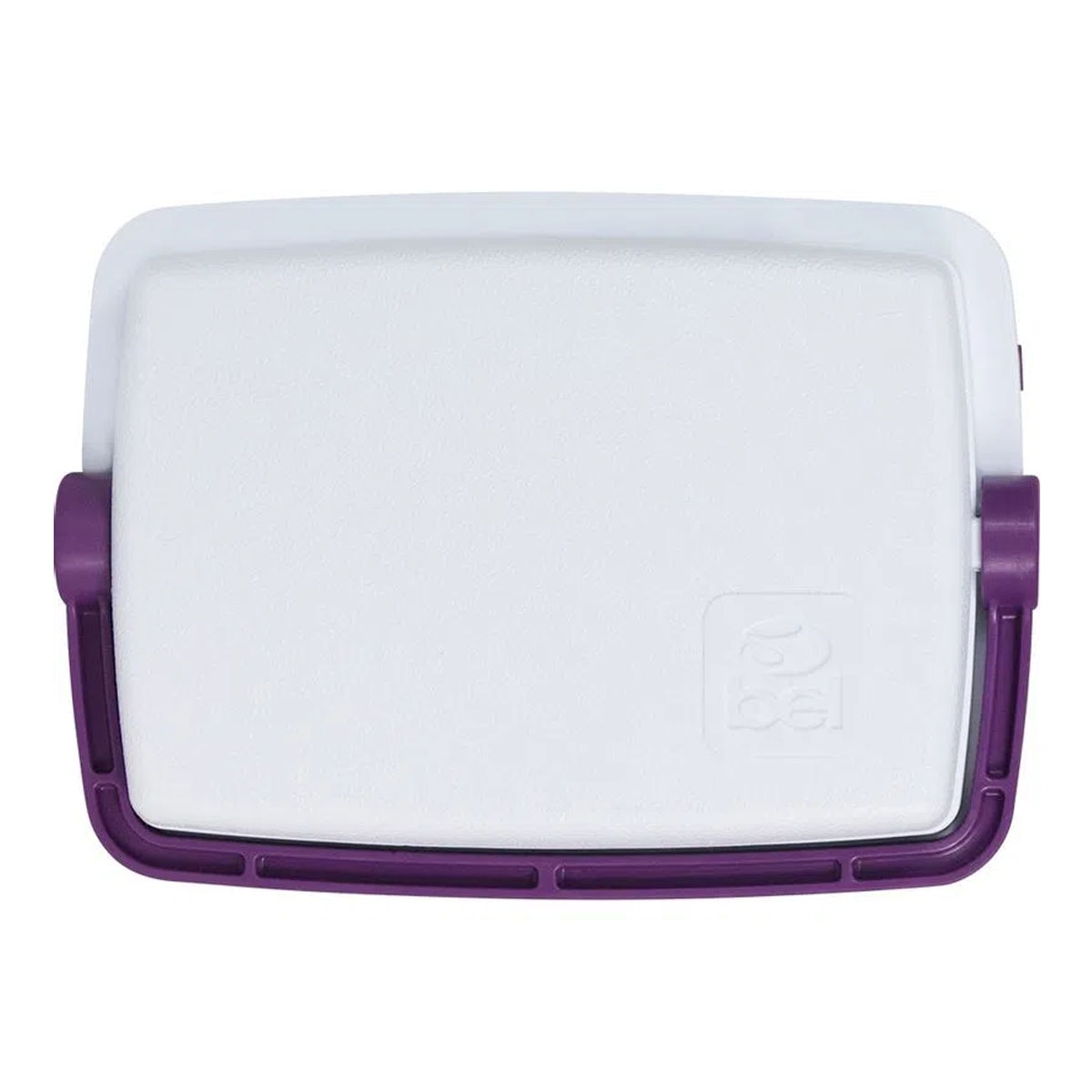 外箱シミあります Caixa Térmica 6 Litros Belfix Cinza | Bemol