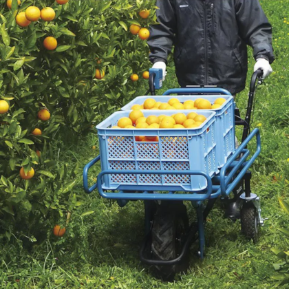 Carrinho de Transporte C/2 Bateria 5Ah + Cesto DCU180Z-CE Makita-57c86a43-08d4-4db8-8cee-cf7bb6ef54c5