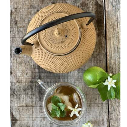 Chaleira Esmaltada Em Ferro Fundido Indução N°18 Amarelo 1,5L 8181 MTA-31876a34-0cbe-4ae4-bf60-a6279c532a94