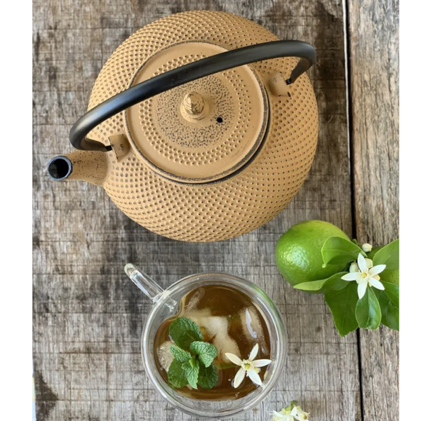 Chaleira Esmaltada Em Ferro Fundido Indução N°18 Amarelo 1,5L 8181 MTA-08c3fe28-8ecd-4cf2-8ea0-b3f8bb8f967f