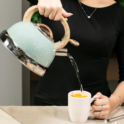 Chaleira Roma Com Apito 2,7L Indução em Aço Inox Verde 4875/111 Brinox-311fe6fc-96eb-4c68-bedd-21ed9cc58fe3