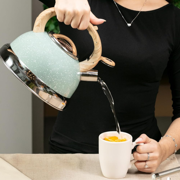 Chaleira Roma Com Apito 2,7L Indução em Aço Inox Verde 4875/111 Brinox-c1f54428-dc5c-4f64-9e54-ae99941f3f05