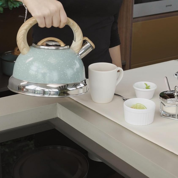 Chaleira Roma Com Apito 2,7L Indução em Aço Inox Verde 4875/111 Brinox-55a21a9d-b2a8-41bf-9f39-493d3331a3d5