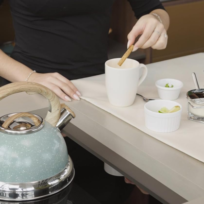 Chaleira Roma Com Apito 2,7L Indução em Aço Inox Verde 4875/111 Brinox-5d4e9f8f-cd7c-438f-8c90-6dd4474ffcc2