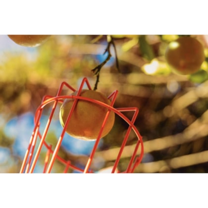 Colhedor de Frutas Pequeno em Aço S/Cabo 77819/121 Tramontina -f92963f1-2da2-4e74-a1c5-67a5076d0622