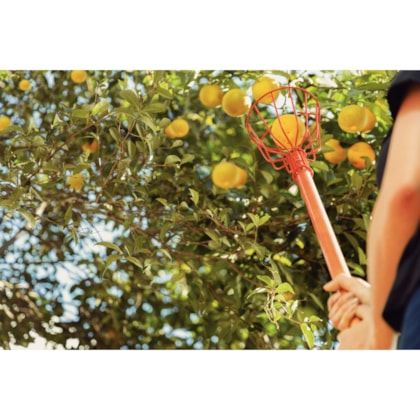 Colhedor de Frutas Pequeno em Aço S/Cabo 77819/121 Tramontina -21fd6415-593d-48e1-a6cf-71f017b74676