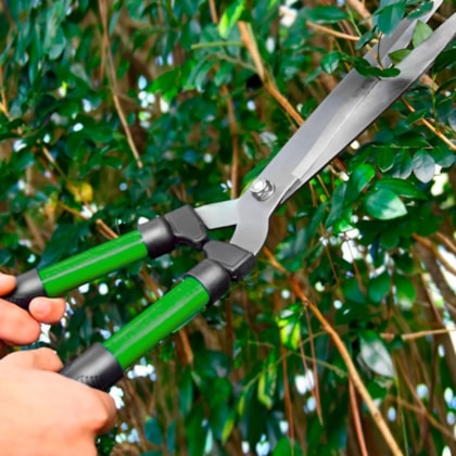 Conjunto Tesouras De Poda Manuais Shear & Pruner 3pçs TS -27002 Trapp-aa678536-9cce-4836-82b4-b286a9b81719