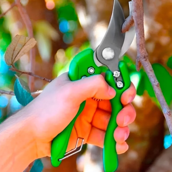 Conjunto Tesouras De Poda Manuais Shear & Pruner 3pçs TS -27002 Trapp-f07e67f0-97e0-4b32-bedc-b382de86a56e