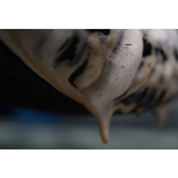 Delet Limpador de Pneus e Borrachas 2050171 Vonixx-e5cb52e4-b0da-42fa-873e-ed5880175732