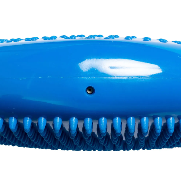 Disco De Equilíbrio E Reabilitação 33cm Com Superfície Massageadora Azul T6-AZ Acte Sports-4425a349-247b-45b7-bb1c-d6a5f0b978d3