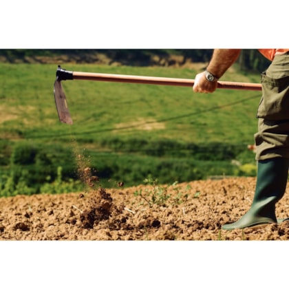 Enxada Larga 2,5 Com Cabo 145 cm 77214754 Tramontina - Multi-953db9a1-aa64-4413-9112-cb4c953871d1