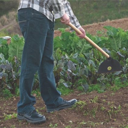 Enxada Larga 2.5Lb sem Cabo Tramontina-a70f71bc-2173-4bbe-9510-24d9e07faba5