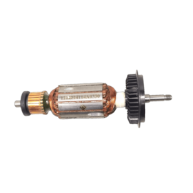 Induzido 220V 1619P08212 Bosch