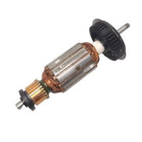 Induzido 220V 1619P08212 Bosch 