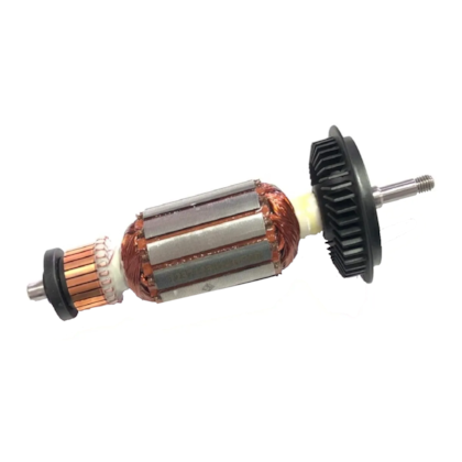 Induzido 220V 1619P08237 Bosch 