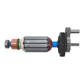 Induzido 220V 1619X07507 Bosch 