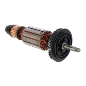 Induzido 220V 3607030476 Bosch 