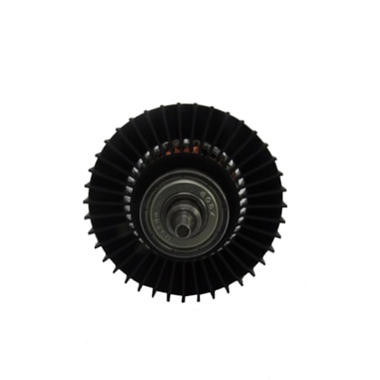 Induzido  220v -  F000605247 - 186086-fb8e4a42-8416-4af8-8472-09d3a75a9b6a