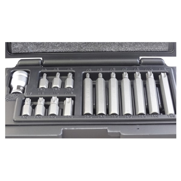 Jogo de Bits Torx T20-T55 Com 15 Peças 1131556 Stels-51880ea6-e28f-4284-b2e1-1a7c9f8cb5b1