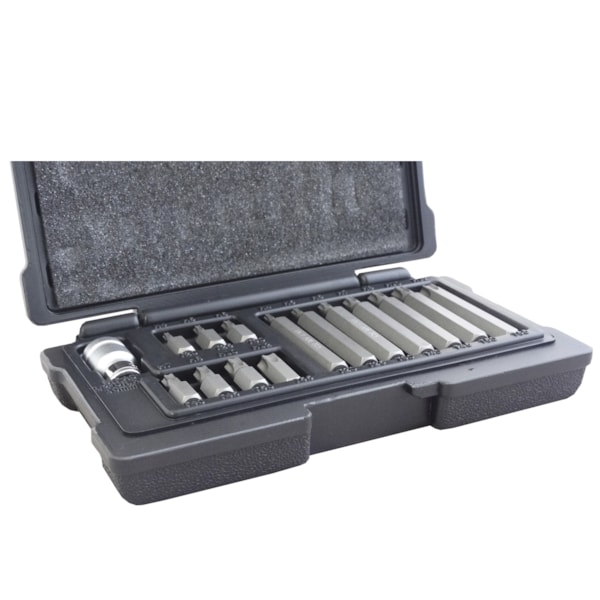 Jogo de Bits Torx T20-T55 Com 15 Peças 1131556 Stels-4c6c275e-c3c0-4499-8e57-48d9ff6b061e