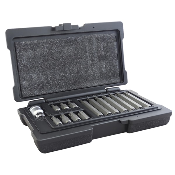 Jogo de Bits Torx T20-T55 Com 15 Peças 1131556 Stels-aa61e85e-a683-4cf0-a660-e6e4dc349b7a