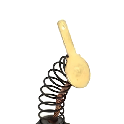 Jogo de Escovas Para Tupias Skil 1831 127V (160701417G)-8ced298d-54ff-4145-a876-97b4d3f4483f