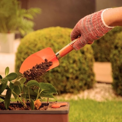 Pazinha Curta de Ponta Larga Metal Cabo em Madeira Jardim 77907/001 Tramontina-49e828d2-a5ec-4694-af04-1eb5046534ac