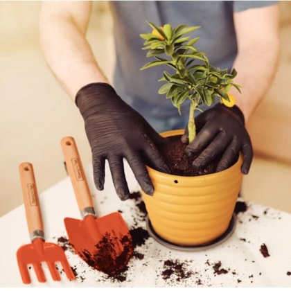 Pazinha Curta de Ponta Larga Metal Cabo em Madeira Jardim 77907/001 Tramontina-d8903cc6-a76b-421b-a56c-cc8d31f6c493