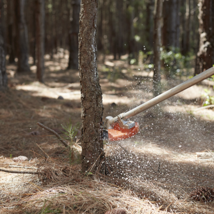 Roçadeira A Gasolina 41,6CC Lâminas de 3 Facas 300mm FS 291 Stihl-9f9febfa-6b28-4cd7-8fb4-351b7073ad45