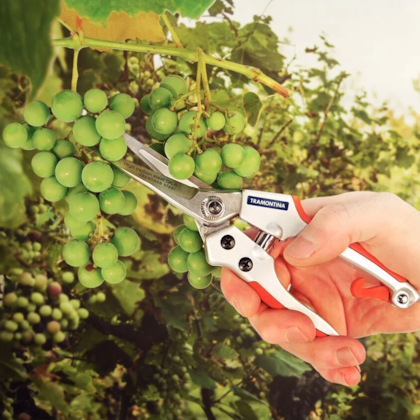 Tesoura de Raleio em Aço Com Cabo Emborrachado Profissional 78316/520 Tramontina -21bc88eb-6a54-4e62-959a-d527a1acae39