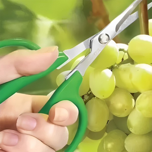 Tesoura Para Colheita e Desbaste 155mm TS-3154A Trapp-0d59b2c5-d3be-4cc4-89dc-2c17c1c39738