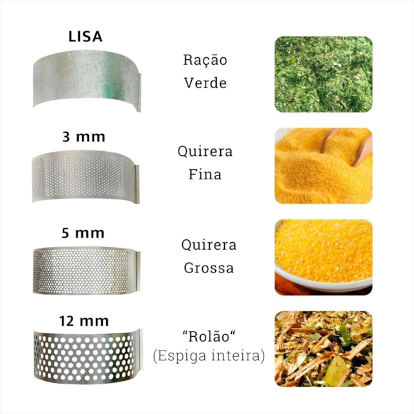 Triturador Forrageiro TRF-400 2Cv 60HZ Monofásico Bivolt 2933247 Trapp-7f7a64ce-7412-411e-accc-d7c29f78c16e